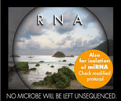 生物薄膜（biofilm）RNA提取试剂盒