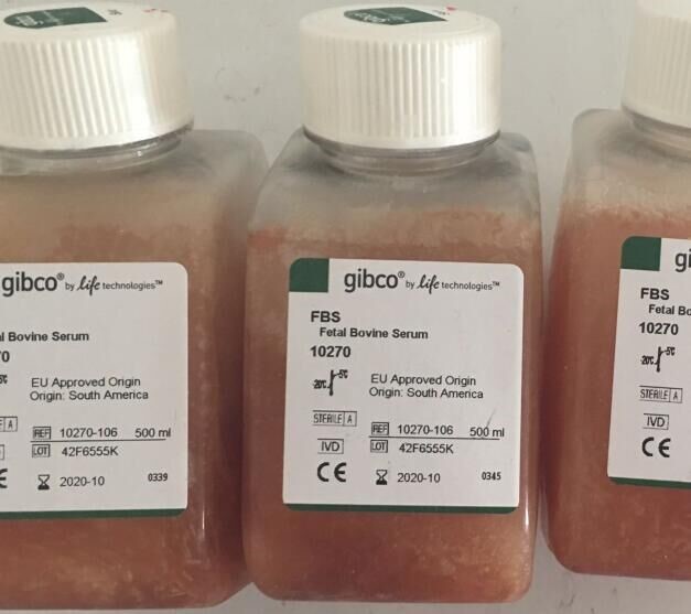 南美胎牛血清 (香港行货,绝无假货)