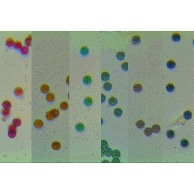 彩色乳胶微球/彩色聚苯乙烯微球/粒径0.1-10um