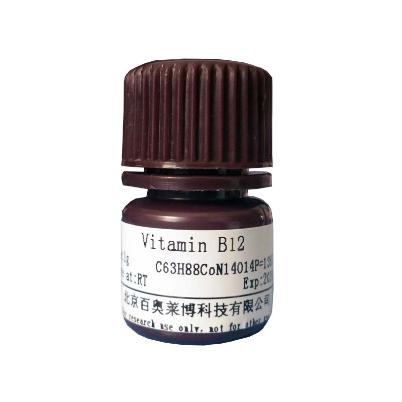 酪蛋白封堵液现货