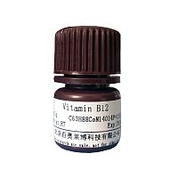 酪蛋白封堵液现货