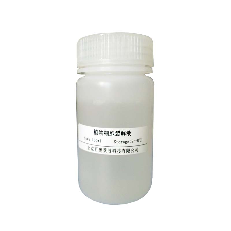 Western及IP细胞裂解液现货产品图