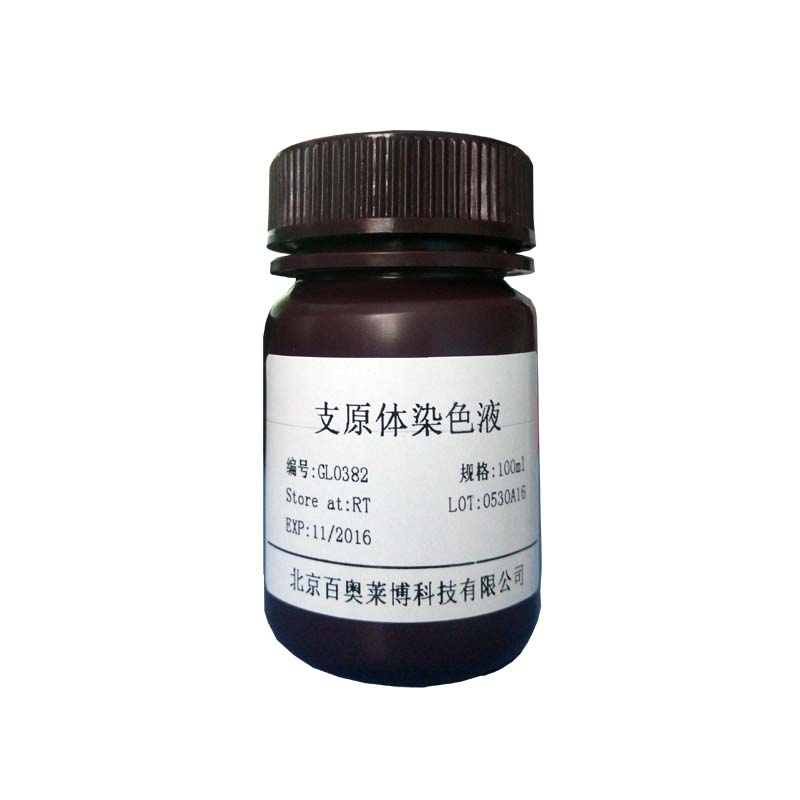 溴化乙锭EB溶液(1mg/ml)