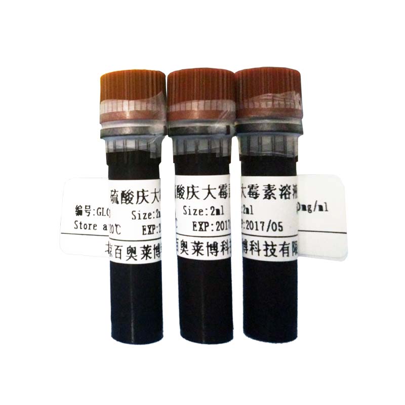 GL0497型细胞色素氧化酶染色液(对苯二铵法)厂家