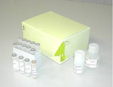 偶联蛋白试剂盒 磁珠法