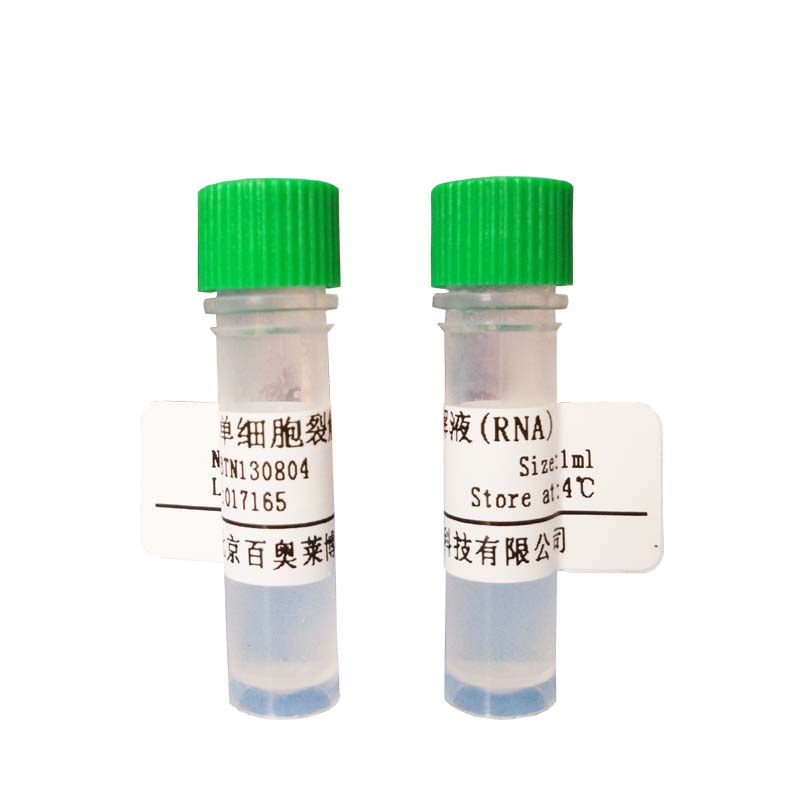 牛脏器组织NK细胞分离液现货