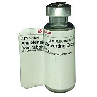 生物素标记EMSA探针-AP1(0.2μM)北京现货促销