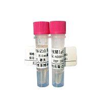 生物素化兔抗羊IgG现货供应