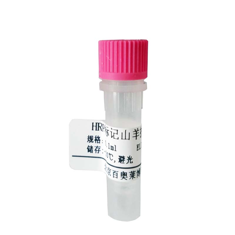 WK357型碱性磷酸酶标记山羊抗兔IgG二抗北京价格