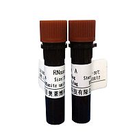 SuperQuickRT MasterMix(for Real-Time PCR)多少钱