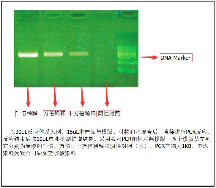 即用型PCR试剂盒