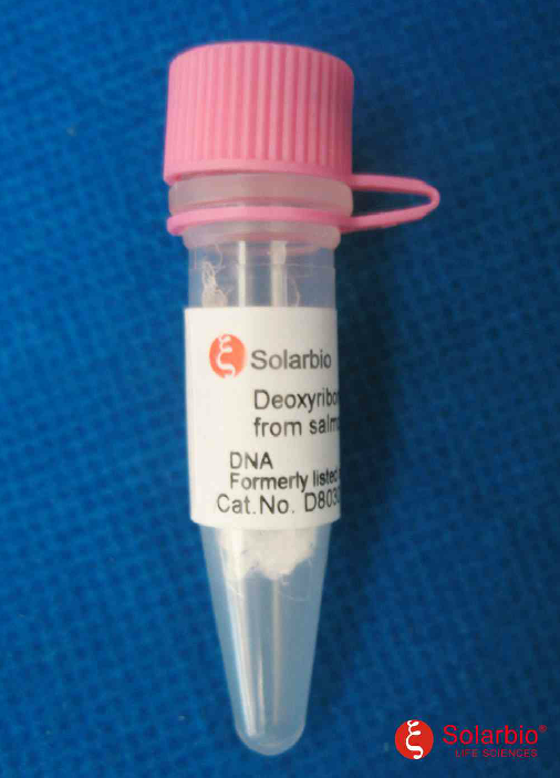 DNA(Herring sperm) 鲱鱼精DNA