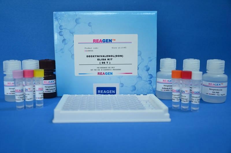 人抗染色体抗体(anti-chromosome Ab)elisa试剂盒