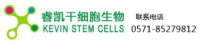 全合成干细胞培养基底膜/基质涂层试剂盒-赛天然2D