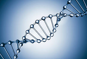 基因组DNA提取服务
