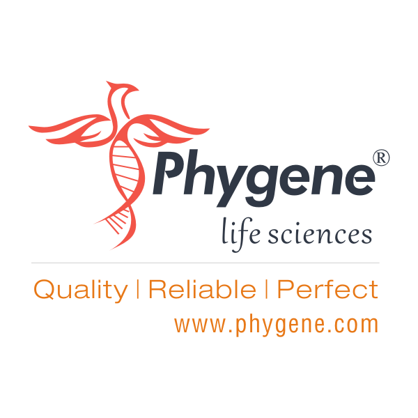 PH0612 Tris-乙酸电泳缓冲液 50×TAE 实验试剂TAE 500mL Phygene