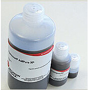 Beckman货号A63881、A63882现货13611631389上海睿安生物