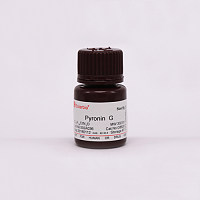 PyroninG(Y) 吡啰红G 派洛宁G (Y)