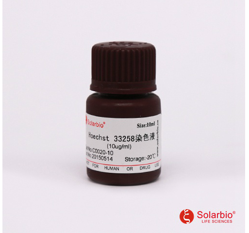 Hoechst 33258 染色液(即用型)