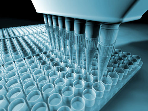 多种荧光定量PCR实验