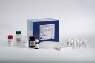 人胶原酶II(Collagenase II)elisa定量检测试剂盒