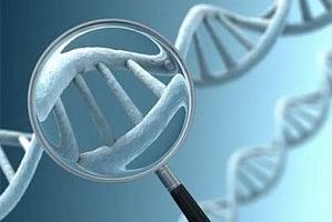 DNA甲基化检测（BSP，MSP等）