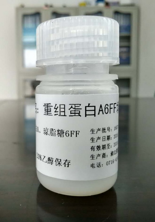 抗体纯化--ProneitA（重组蛋白A）琼脂糖凝胶 6FF