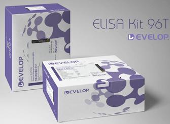 人输卵管糖蛋白1(OVGP1)ELISA 试剂盒