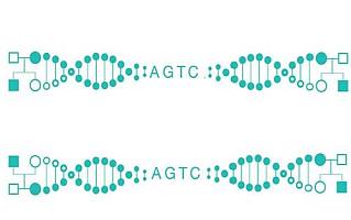 全基因组测序技术服务