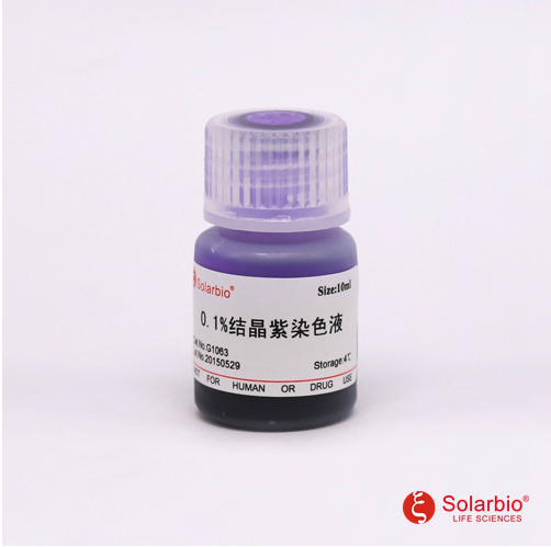 G1063 结晶紫染色液(0.1%) 微生物染色液 索莱宝