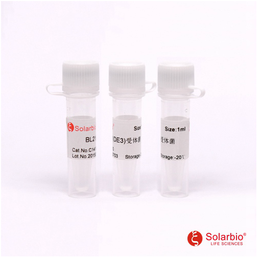 BL21(DE3)受体菌