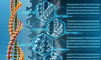全基因组甲基化测序