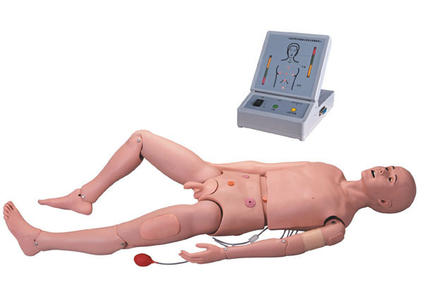 高级成人护理及CPR训练模拟人，成人护理模型