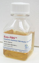 Systembio（SBI） Exosome-depleted FBS EXO-FBS-50A-1 去外泌体血清 现货供应 原装正品