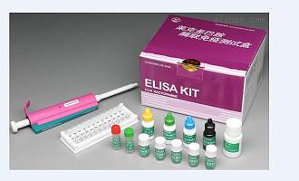 人吡哆醛/吡哆醇维生素B6磷酸酶(PDXP)elisa定量检测试剂盒