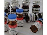 北纳创联ATCC12477