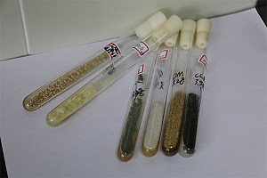 北纳创联IJFM 6046