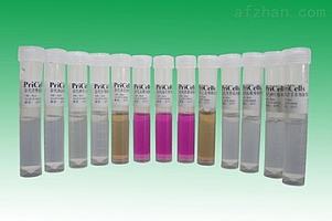 北纳创联ATCC 96934 4918-10