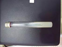 北纳创联Penicillium avellaneum