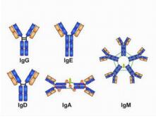 FITC Conjugated Protein A