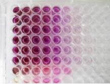 中性红细胞增殖及细胞毒性检测试剂盒