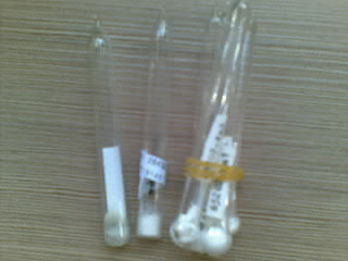 北纳创联NRRL Y-1351