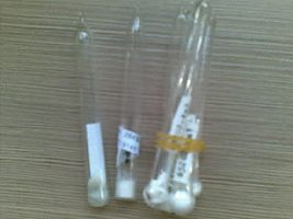 北纳创联NRRL Y-1351