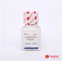 L-谷氨酰胺(200mM)  