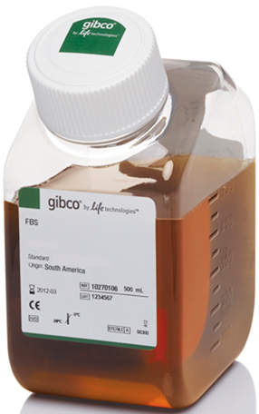 Gibco优等胎牛血清，10099-141澳洲源，优级Gibco血清
