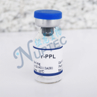 重组大消化链球菌蛋白L