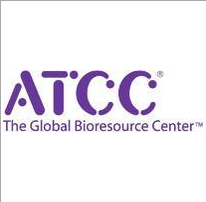 Beta-TC-6 小鼠胰岛素瘤胰岛β细胞
