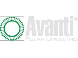 Avanti Polar Lipids 磷脂 部分产品信息四