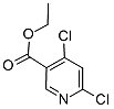 4,6-二氯烟酸乙酯；40296-46-6