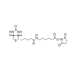 生物素-C6-琥珀酰亚胺酯 72040-63-2 Biotin-C6-NHS NHS–LC–Biotin